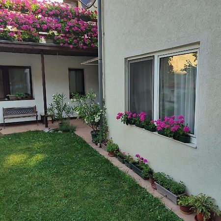 Apartman Mitic Požarevac Exteriér fotografie