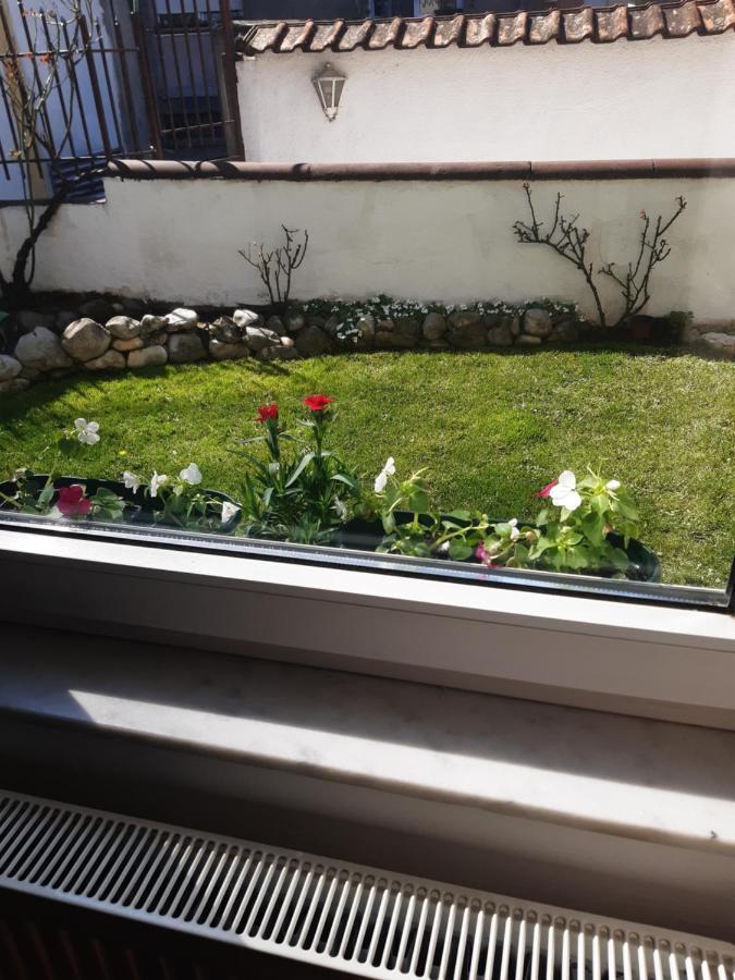 Apartman Mitic Požarevac Exteriér fotografie