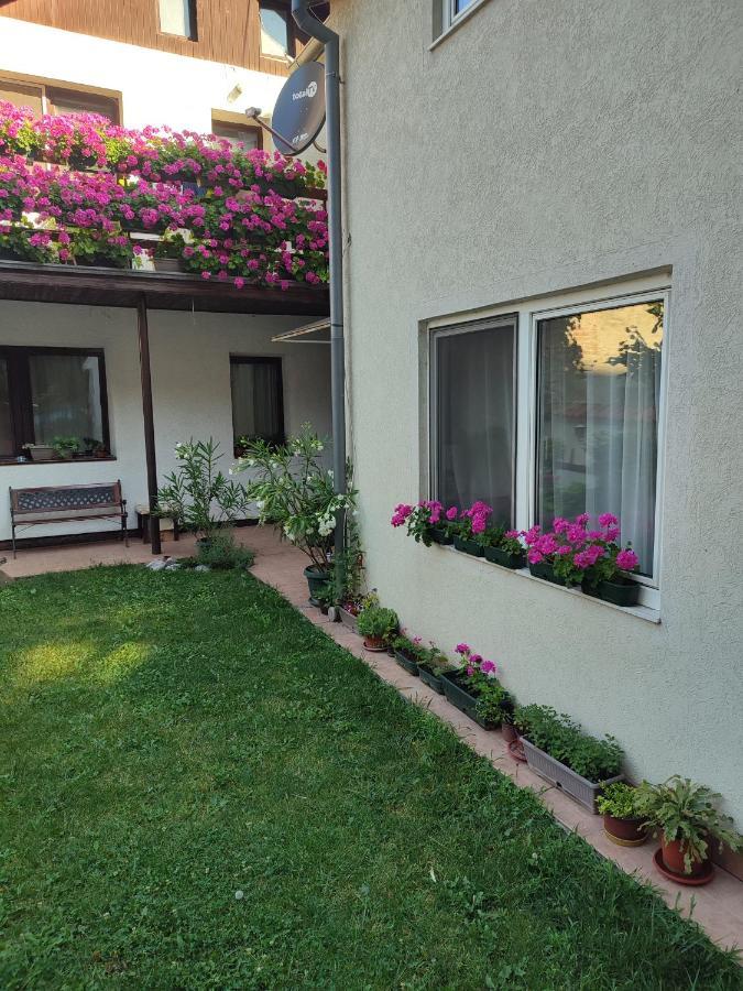 Apartman Mitic Požarevac Exteriér fotografie